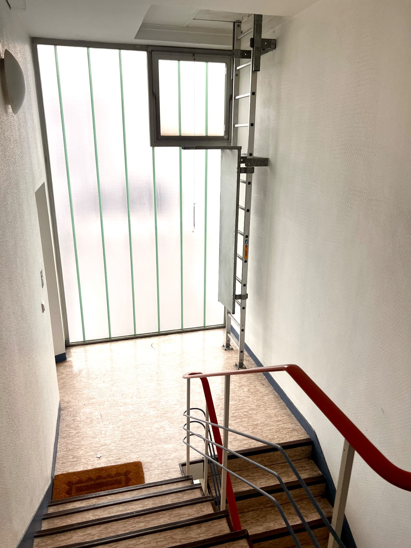 Mischgenutztes Wohn- und Geschäftshaus mit 20 Einheiten, Ludwigshafen-Mitte — Treppenhaus vor der Sanierung | Sanierung durch vivunt GmbH